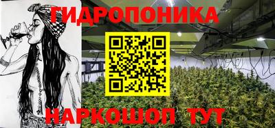 амф Мариинск