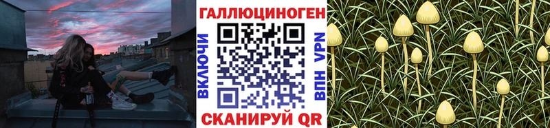 Псилоцибиновые грибы прущие грибы  нарко площадка какой сайт  Дедовск  закладки 