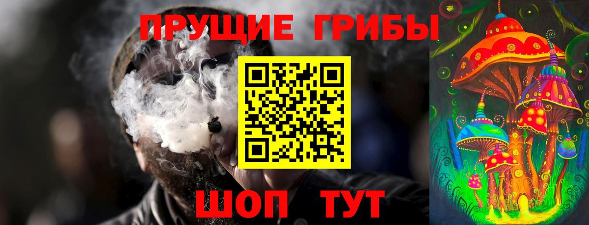 Галлюциногенные грибы Psilocybe  Вход с VPN  Псилоцибиновые грибы Cubensis  Дедовск 